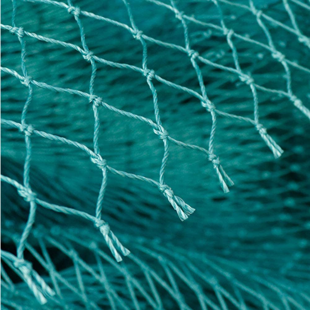 Rede anti-pássaros sólida rede - Fishing Equipment Net avaliação e preço